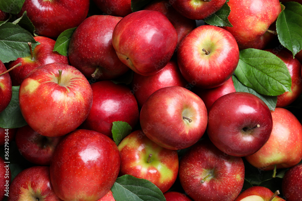Pile of tasty red apples with leaves as background, top view Pile of tasty red apples with leaves as background, top view