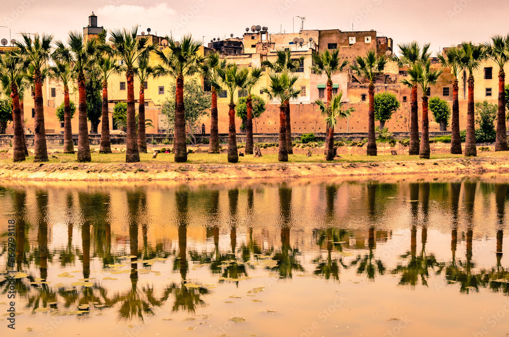 Spiegelung von Palmen in Fes Marokko