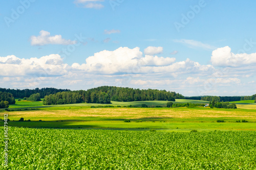 Rural beautiful european landscape summer without people © Payllik