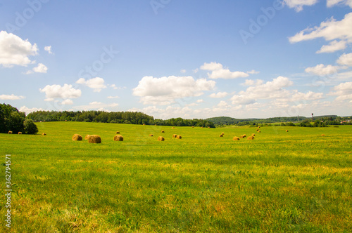 Agricultural field with harvested hay and stacks in summer © Payllik