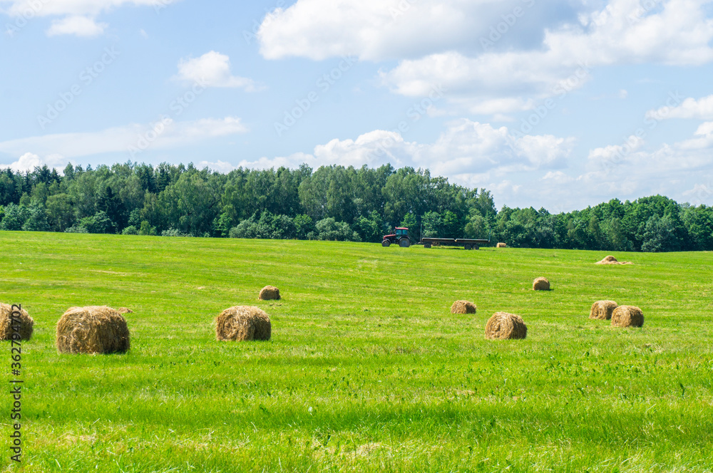 Agricultural field with harvested hay and stacks in summer