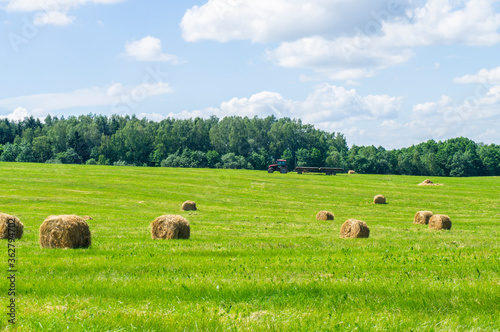 Agricultural field with harvested hay and stacks in summer