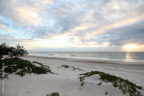 Ocean Beach on Bribie Island  Queensland  Australia  showcasing water  shoreline  trees and sand dunes