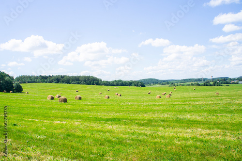 Agricultural field with harvested hay and stacks in summer