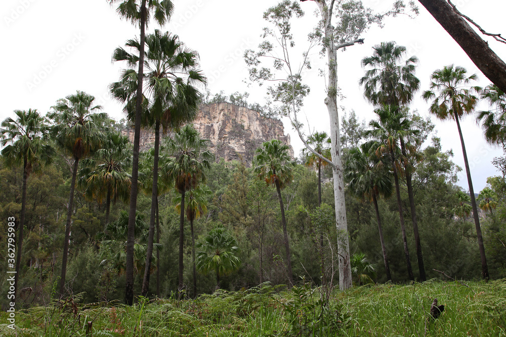 Carnarvon Queensland, Australia. Featuring trees, creeks, rocks