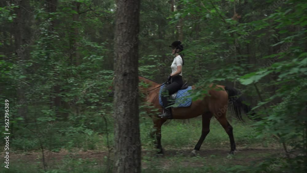 Female on horseback riding in the forest, horse walk along a forest path, horsewoman ride on a horse, view through the trees. Female on horseback riding in the forest, horse walk along a forest path, horsewoman ride on a horse, view through the trees.