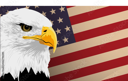 American eagle and USA flag. Vector image
