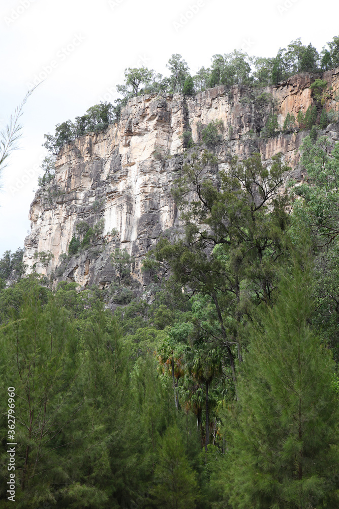 Carnarvon Gorge, Queensland, Australia.  Featuring trees, creeks, rocks and walking trails