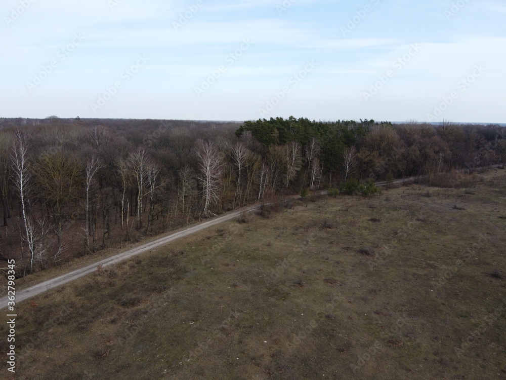 Country road near the forest, aerial view. Forest on a spring evening.