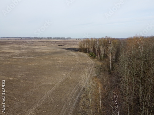 Agricultural field near the forest, aerial view. Landscape.