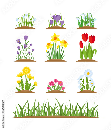 Spring flowers. Vector set of spring wild forest and garden flowers and grass isolated on white background. Cartoon tulip, crocus, daffodil, viola, chamomile, snowdrop, dandelion. Garden design icons.