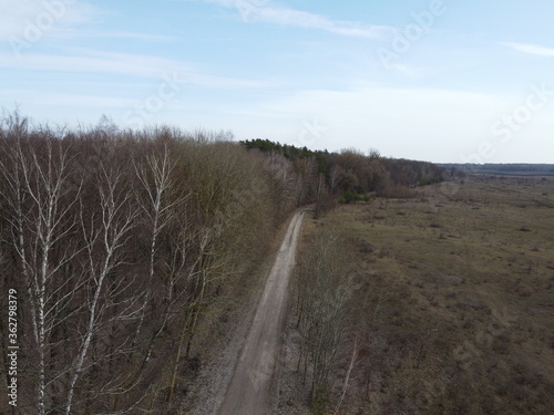 Country road near the forest, aerial view. Forest on a spring evening.