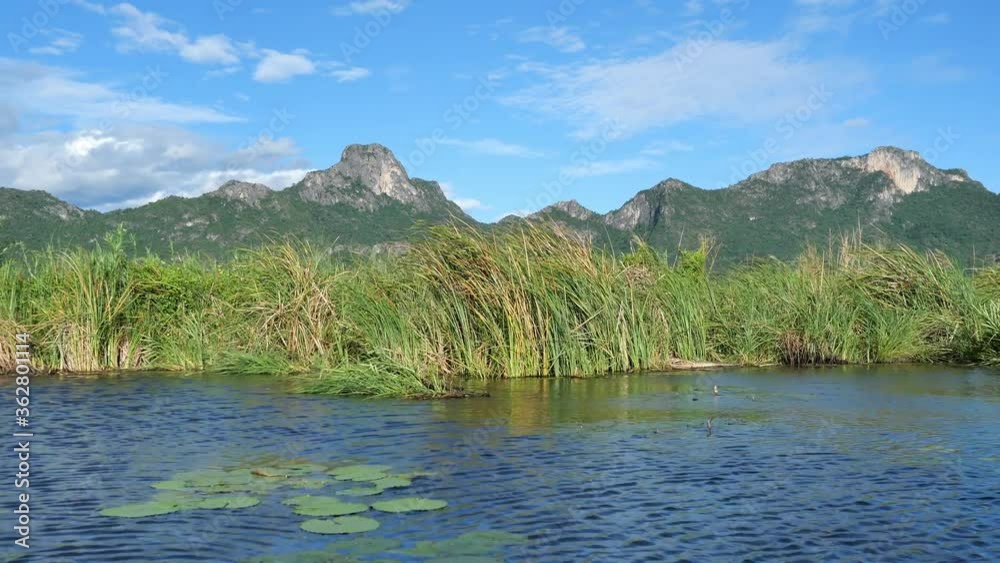 Limestone mountain with rock cliff with green forest and reed field in lake , Traveling by boat on wetland with blue sky and white cloud in background at Khao Sam Roi Yot National Park, Thailand Limestone mountain with rock cliff with green forest and reed field in lake , Traveling by boat on wetland with blue sky and white cloud in background at Khao Sam Roi Yot National Park, Thailand
