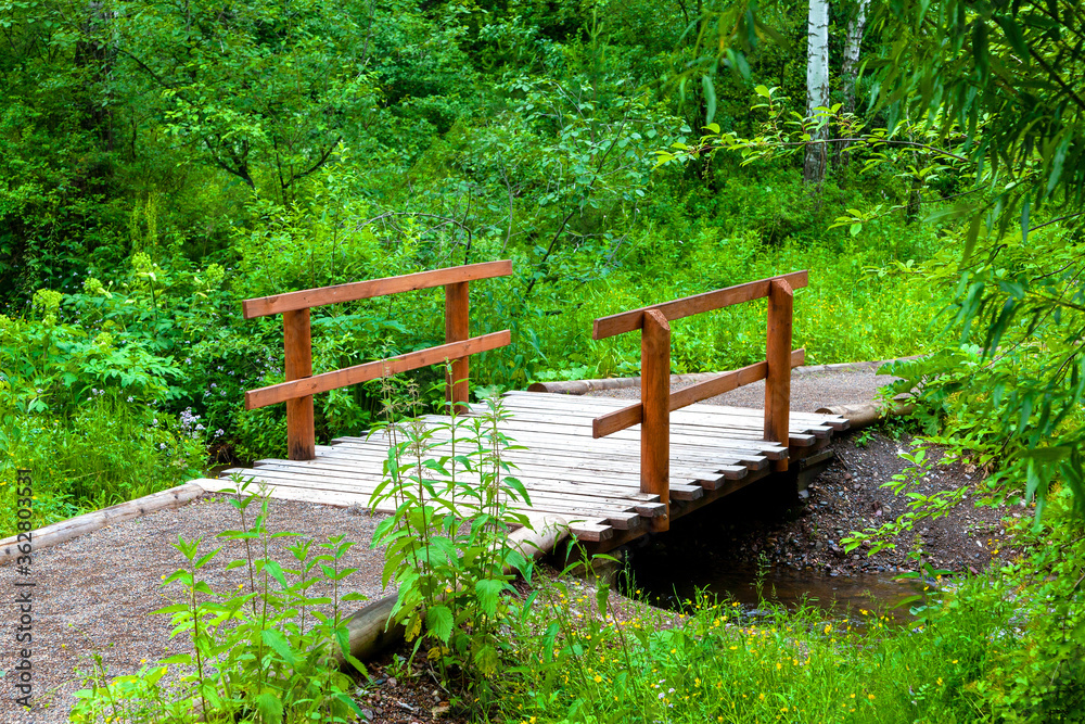 Wooden bridge in the forest across the river, eco trail. National Park 