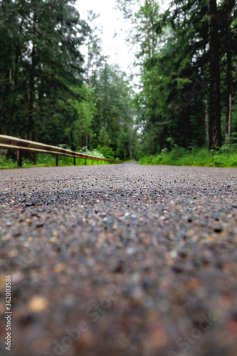 Abstract defocused background, road in the forest.