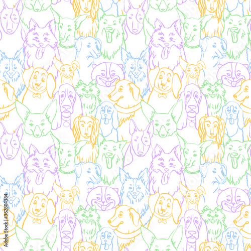 Dogs seamless vector pattern. Illustration with bulldog  bobtail  dachshund  bullterrier  doberman  spitz  chihuahua