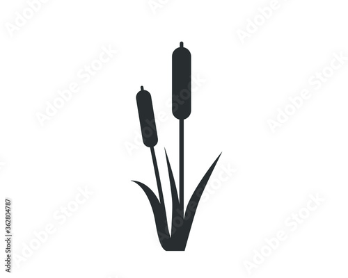 Reeds icon. Reeds plant vector illustration. 