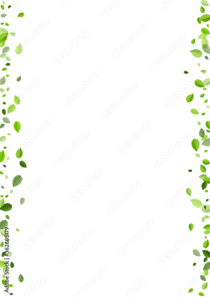 Swamp Leaves Swirl Vector Wallpaper. Transparent Swamp Leaves Swirl Vector Wallpaper. Transparent