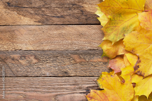 Obraz na płótnie Autumn frame for your idea and text. Autumn fallen dry leaves of yellow, red, orange, laid out on old wooden board of brown color w salonie