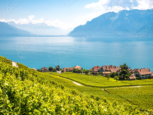 Vignes terrasse Lavaux Village sur fond de lac Léman en Suisse photo