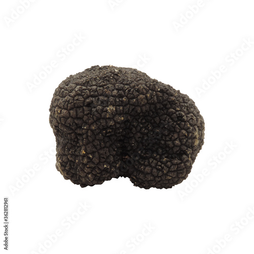 Trufa de verano - Tuber Aestivum - diamantes photo