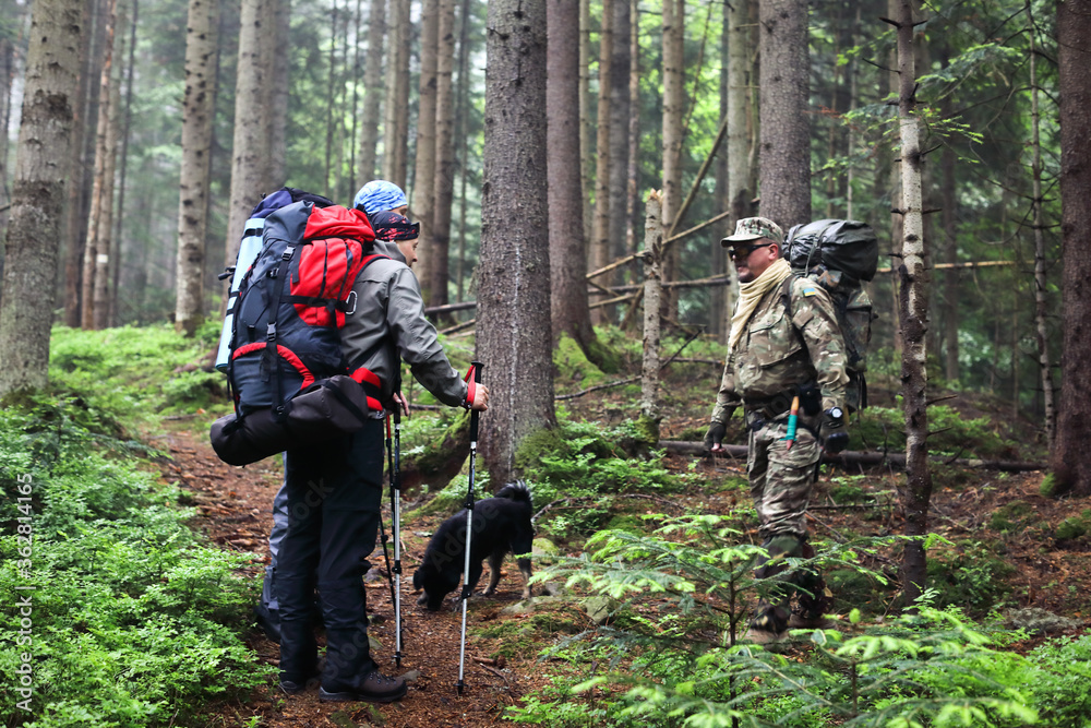 Three men and dog hike in forest with backpack for trekking Three men and dog hike in forest with backpack for trekking