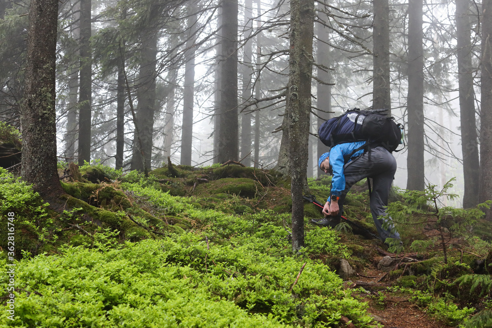Fototapeta premium Active healthy man hiking in beautiful forest