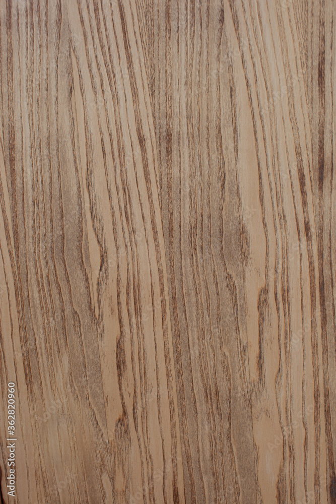 Brown greish ash tree texture vertical stripes Brown greish ash tree texture vertical stripes
