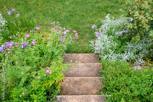 Look down from some concrete stairs onto the beautiful blooming blue and purple flowers, the green plants and the grass in a summer garden. Seen in Germany in June. © franconiaphoto