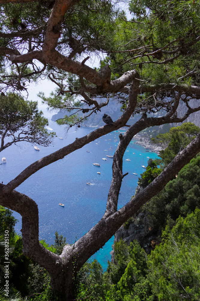 Panoramic view of Marina Piccola and Tyrrhenian sea in Capri island, Italy. Panoramic view of Marina Piccola and Tyrrhenian sea in Capri island, Italy.