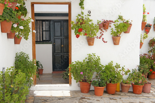 Fototapeta Naklejka Na Ścianę i Meble -  Blühende Pflanzen an Hauswand