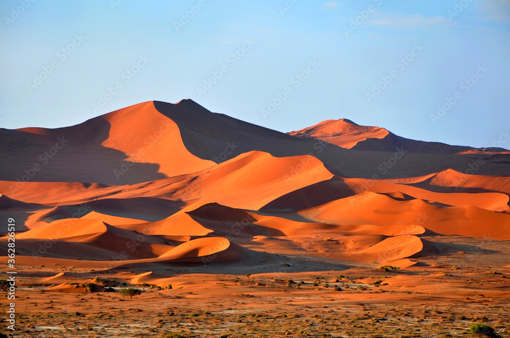 Orange desert sand dunes on the sunset, Deadvlei, Sossusvlei, Namibia, Africa