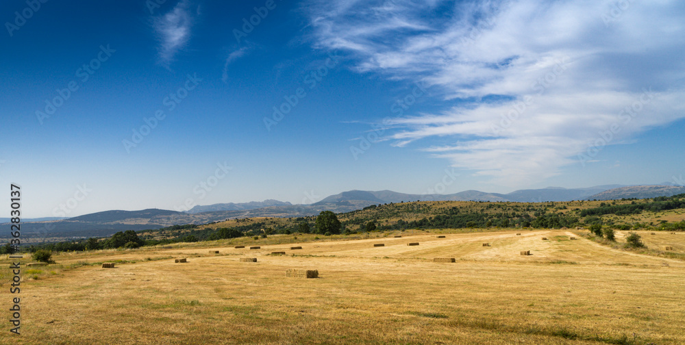 Panoramic landscape of cereal field packed in the mountain area of ​​Madrid.