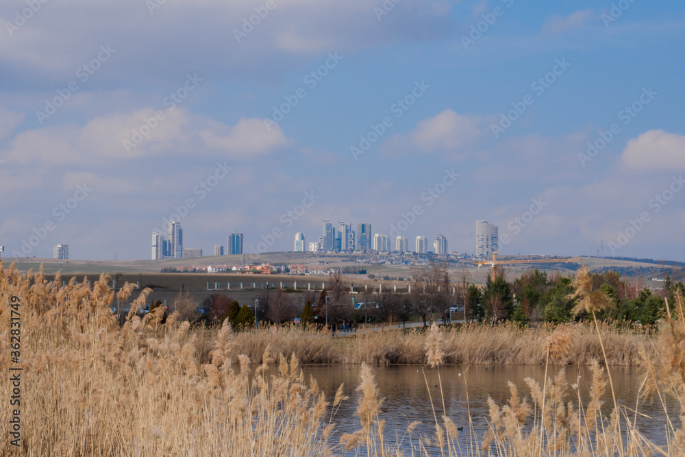 High rise residential areas with rural view,pond in the foreground reeds