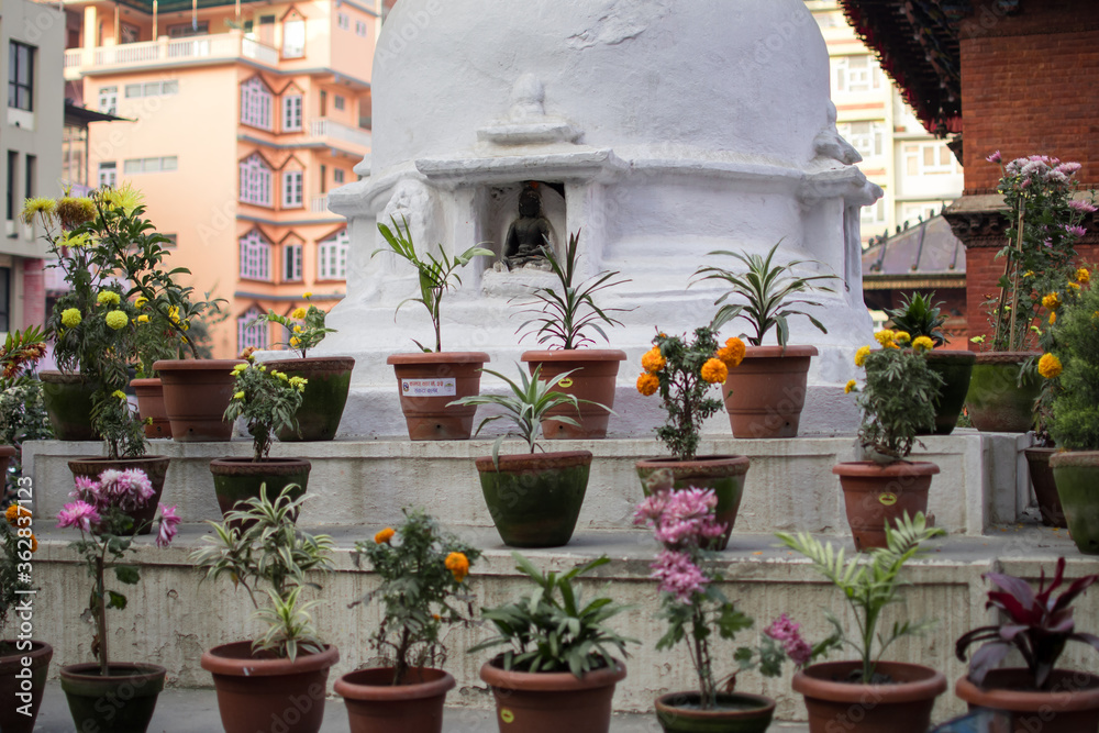 Different flowers infornt of a religious monument, Kathmandu, Nepal Different flowers infornt of a religious monument, Kathmandu, Nepal