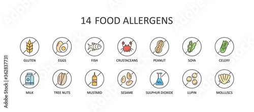 14 free food allergens. Round colored vector icons with editable stroke. Gluten free milk eggs celery sesame nuts. Fish molluscs crustaceans soybean lupins. Chemical constituents of sulphur dioxide