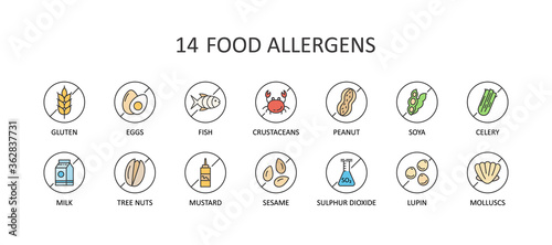 14 free food allergens. Round colored vector icons with editable stroke. Gluten free milk eggs celery sesame nuts. Fish molluscs crustaceans soybean lupins. Chemical constituents of sulphur dioxide photo