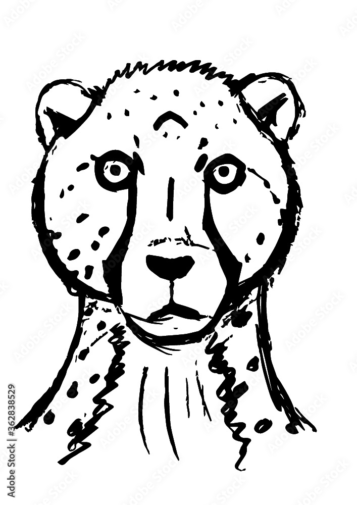 vector illustration black white cheetah vector illustration black white cheetah