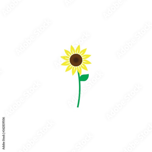 Sunflower logo icon vecto