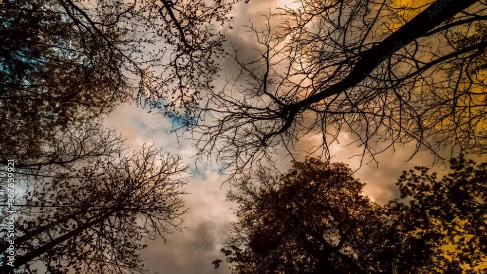 Beautiful nature background with running clouds. Low angle shot Beautiful nature background with running clouds. Low angle shot