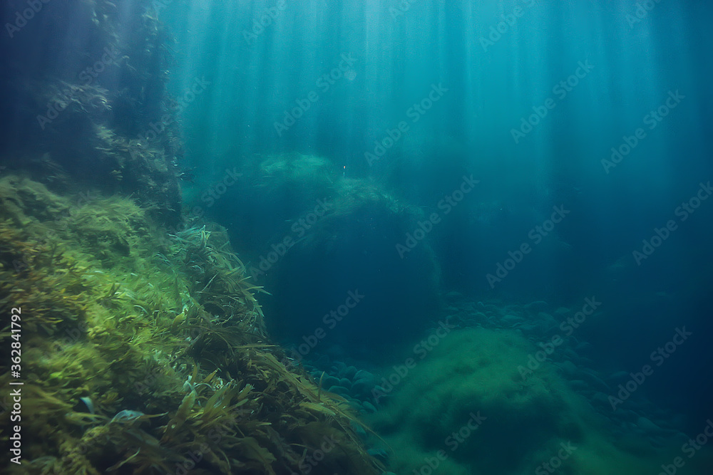 landscape diving in cenote, underwater fog hydrogen sulfide, extreme adventure in mexico
