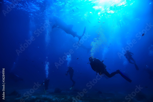 scuba diver and school of fish, fish tornado, underwater view ecosystem man under water © kichigin19