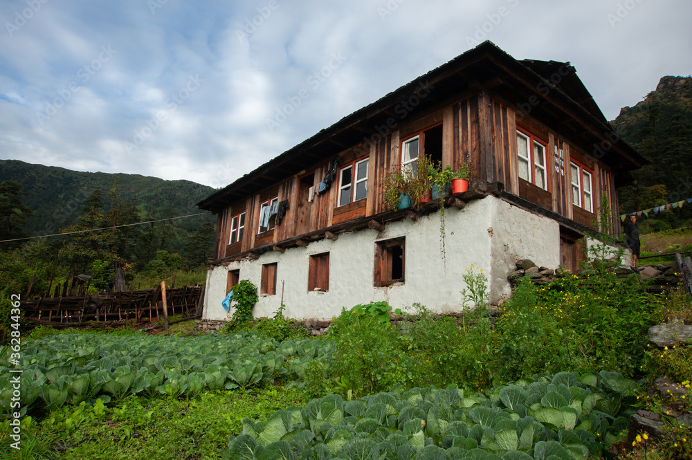 house in the mountains house in the mountains