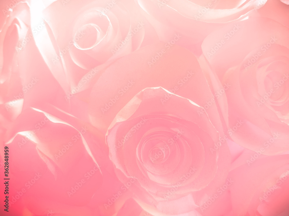 Beautiful abstract color white and pink flowers on white background and white graphic flower frame and pink leaves texture, pink background, colorful graphics banner happy valentine day Beautiful abstract color white and pink flowers on white background and white graphic flower frame and pink leaves texture, pink background, colorful graphics banner happy valentine day