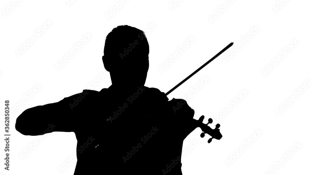 young male violinist plays the classical violin. Black silhouette on a white background. Medium long shot young male violinist plays the classical violin. Black silhouette on a white background. Medium long shot