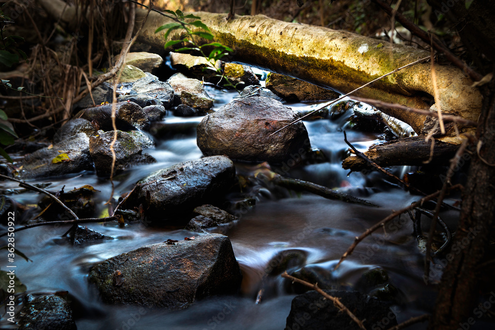 A flowing river over rocks with vegetation all around it A flowing river over rocks with vegetation all around it