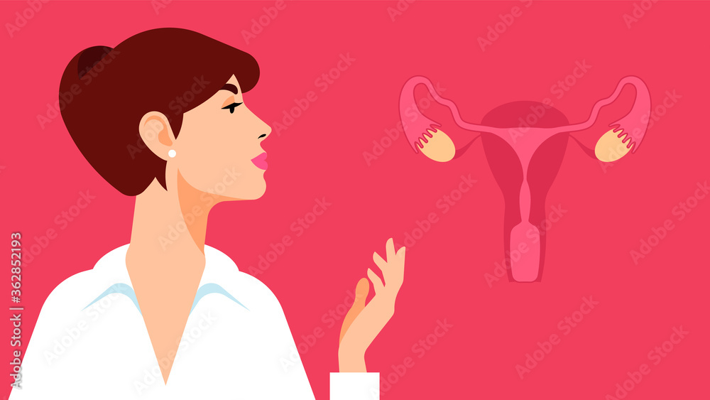 Woman gynecologist. Antenatal clinic. A young girl in a white shirt and an image of female reproductive organs. Consultation with a gynecologist and fertility specialist. Woman gynecologist. Antenatal clinic. A young girl in a white shirt and an image of female reproductive organs. Consultation with a gynecologist and fertility specialist.