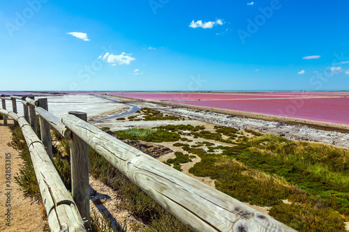 Observation deck. Pink Salt Water Estuary