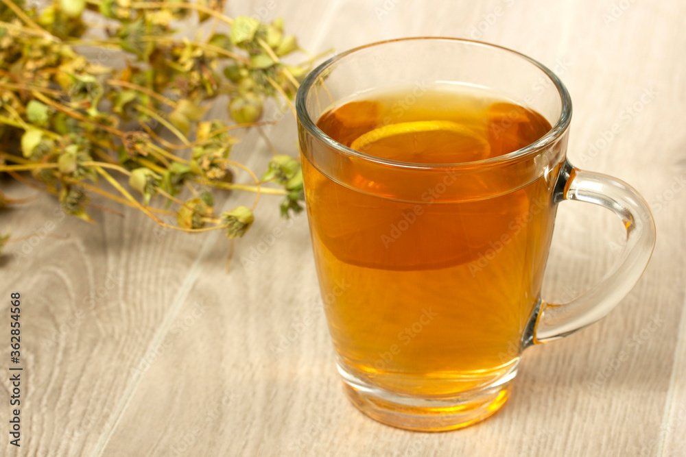Dried sage. Hot drink sage in glass.