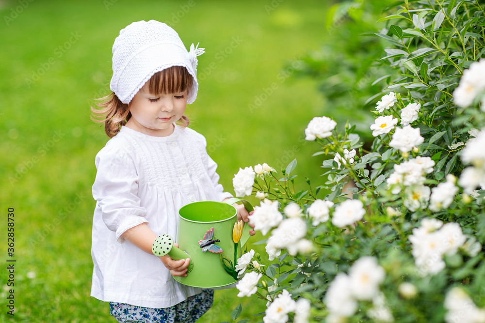 on a summer day, a little girl takes care of flowers in the garden, watering roses in a flower bed on a summer day, a little girl takes care of flowers in the garden, watering roses in a flower bed